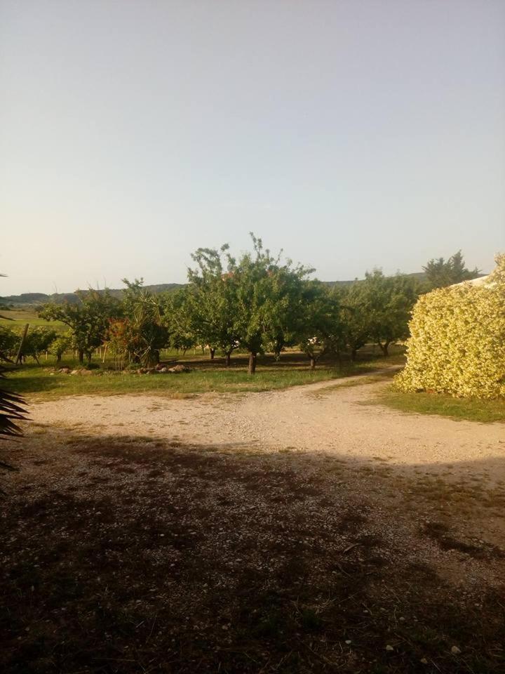 Residenza Agrituristica Santa Lucia Con Piscina Lägenhet Alghero Exteriör bild