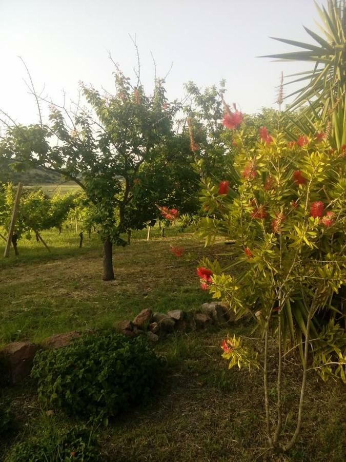Residenza Agrituristica Santa Lucia Con Piscina Lägenhet Alghero Exteriör bild